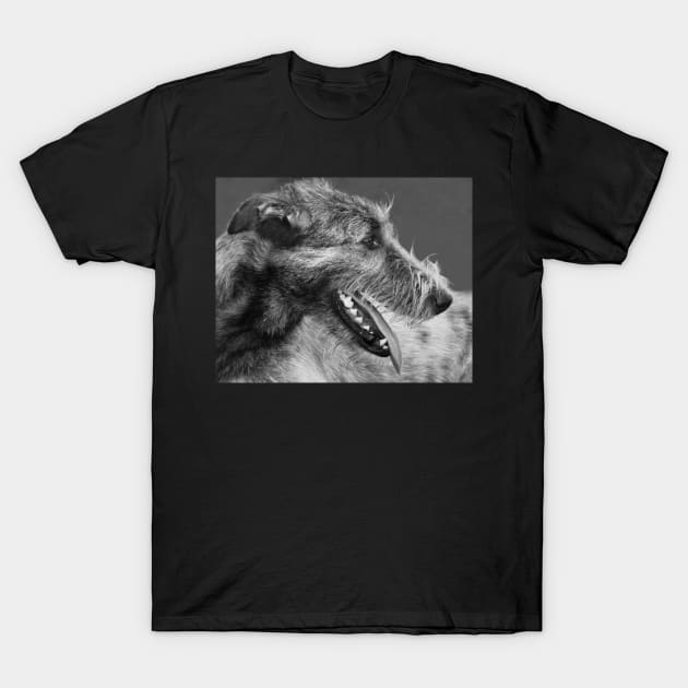 Irish Wolfhound Portrait T-Shirt by LaurieMinor